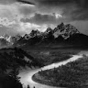 Meet your Posher, Sidney